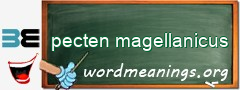 WordMeaning blackboard for pecten magellanicus